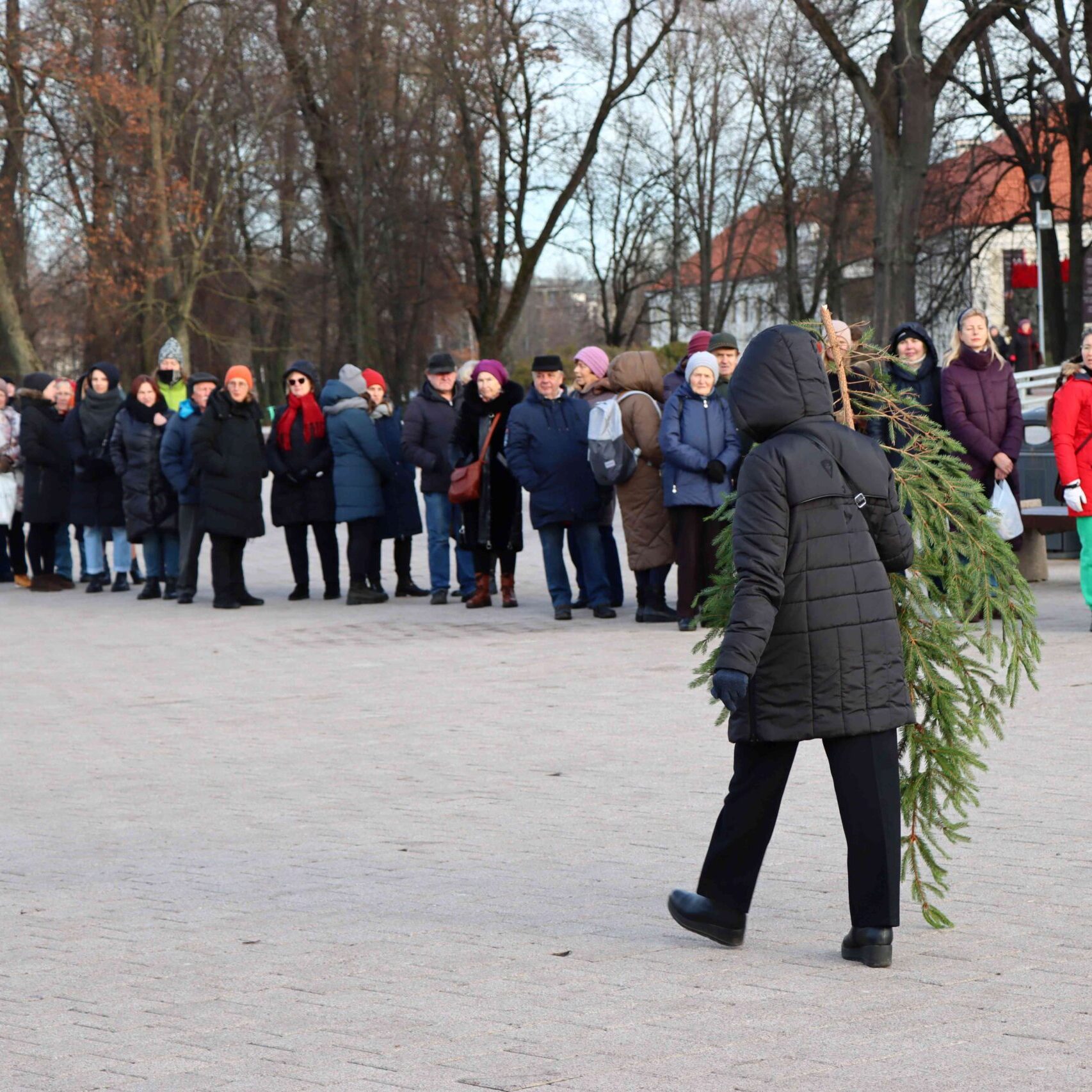 „Parsinešk Kalėdas į savo namus“: visoje Lietuvoje eglišakėmis pakvipo tūkstančiai gyventojų namų