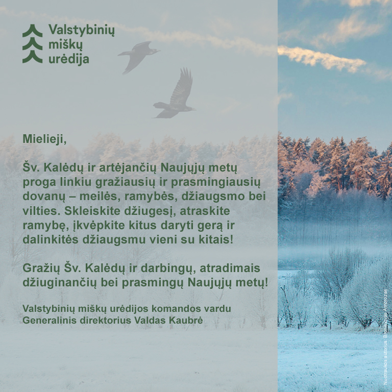 Gražių ir jaukių artėjančių švenčių!