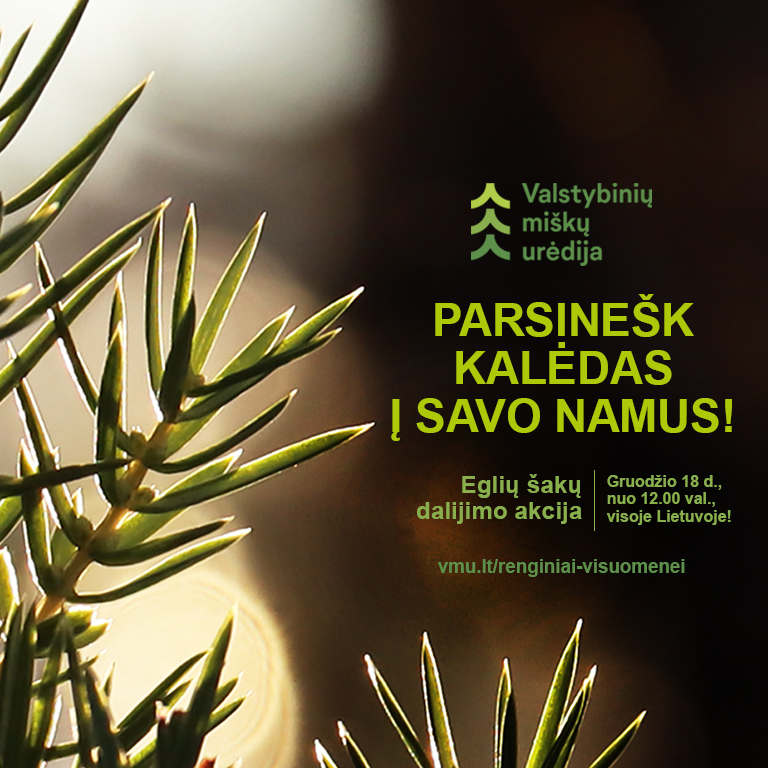 Miškininkai dalinsis kalėdine dvasia – gruodžio 18 d. visoje Lietuvoje vyks tradicinė akcija „Parsinešk Kalėdas į savo namus“