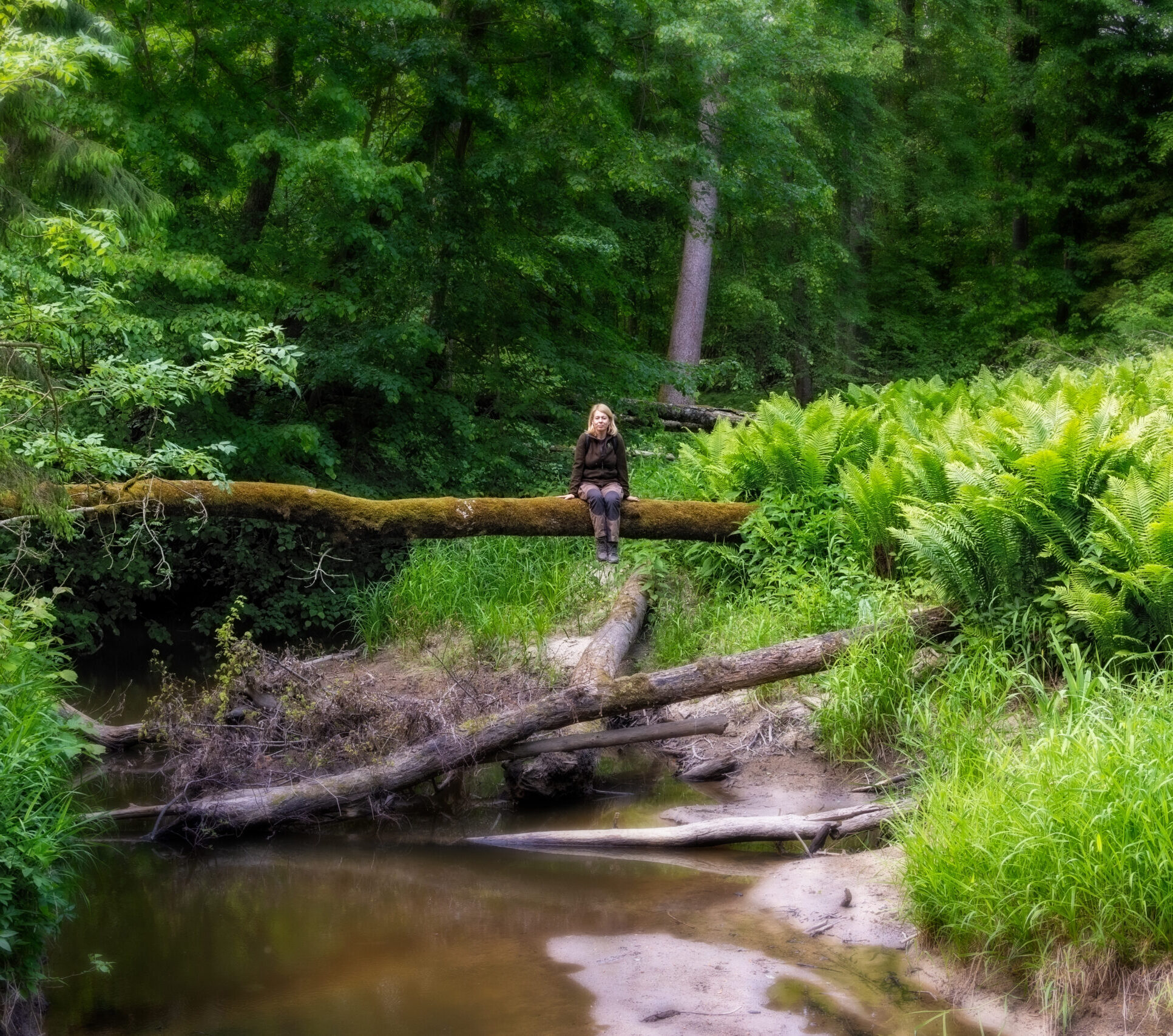 Naujos galimybės ekologams: pradėkite karjerą Valstybinių miškų urėdijoje
