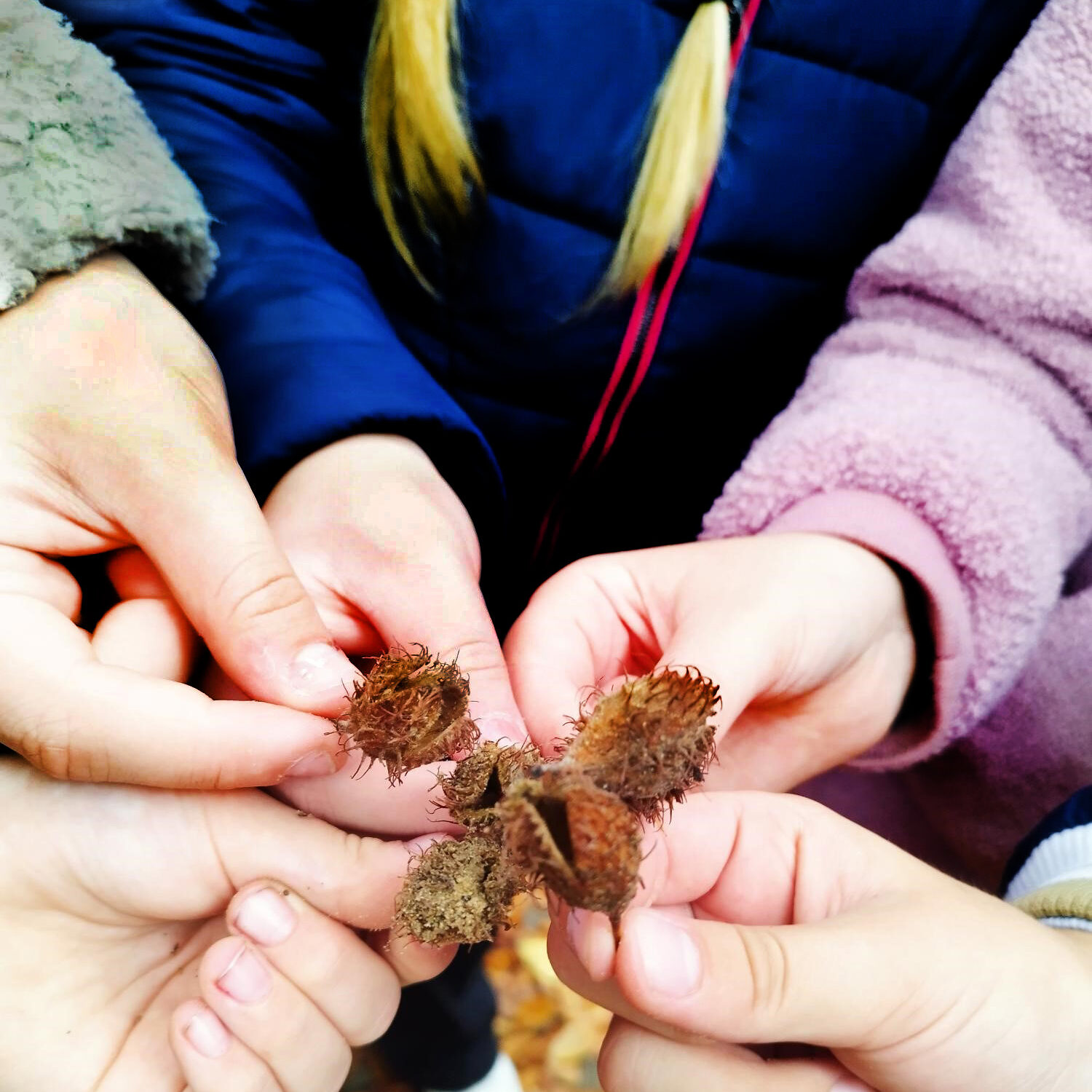 Valstybinių miškų urėdija organizuoja pirmąją Lietuvos istorijoje Miškininkystės olimpiadą „Mes – miškui, miškas – visiems“