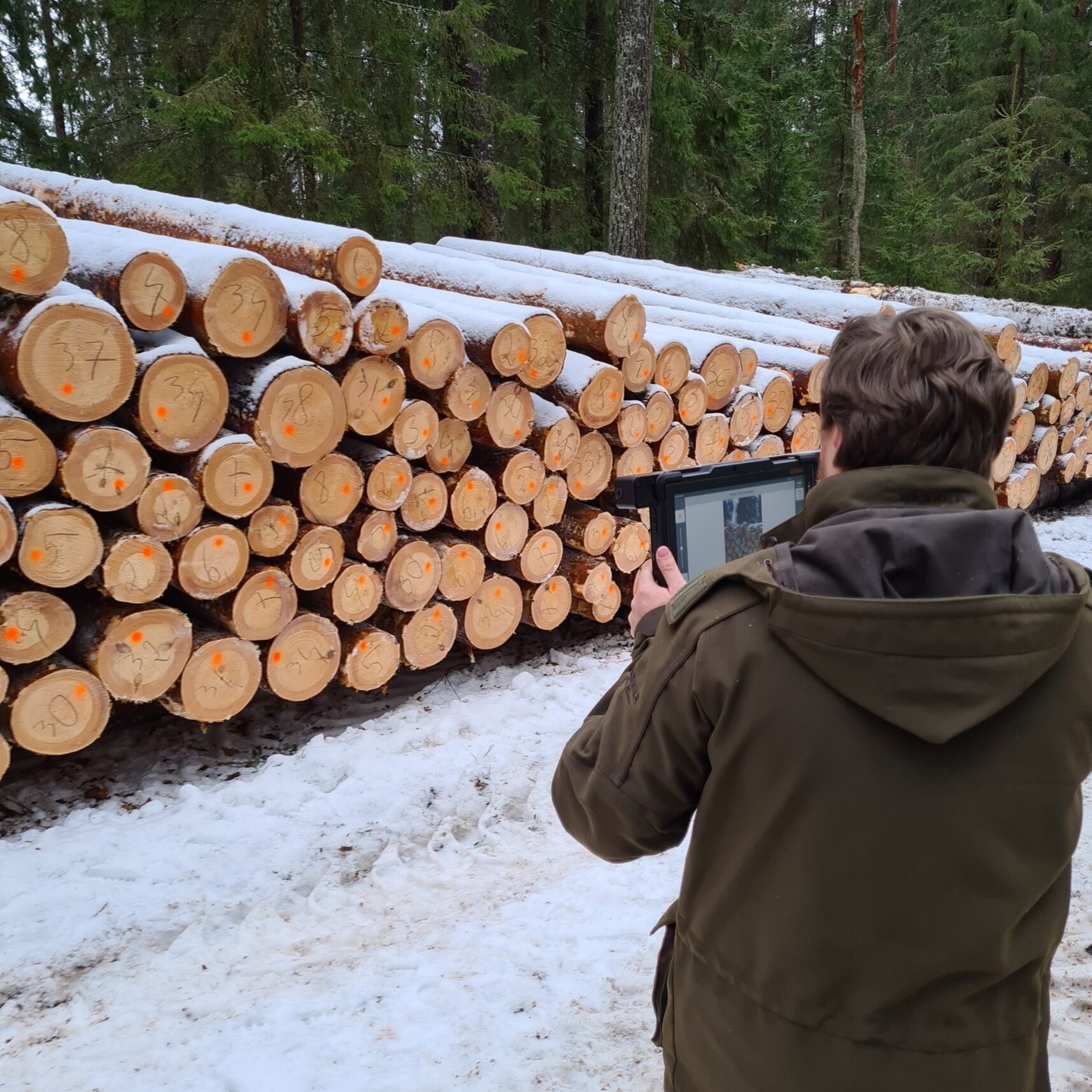 VMU ragina išlikti budriems – užfiksuota nauja sukčiavimo schema su valstybine mediena