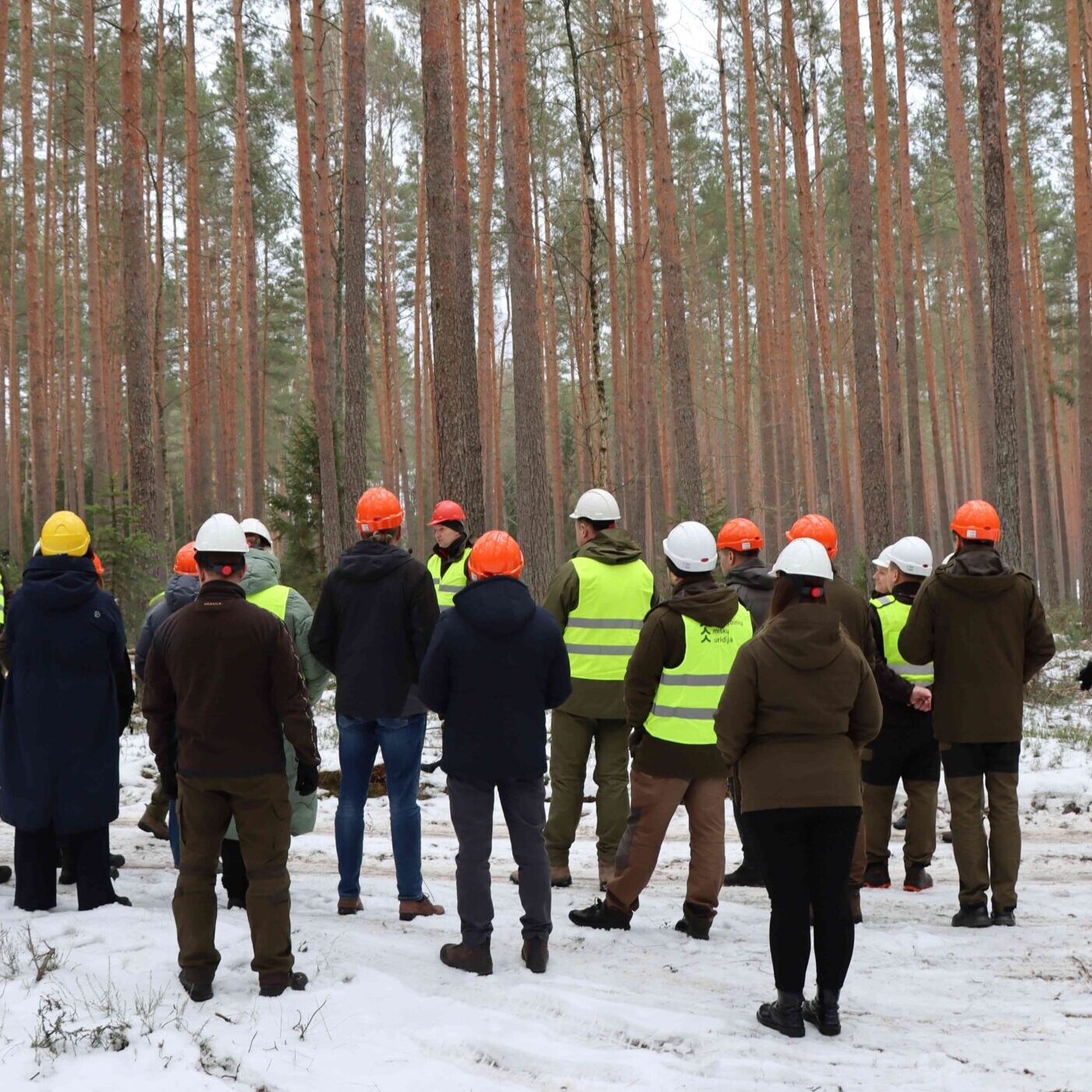 Praktinis susitikimas miške: miškininkai tęsia socialinio dialogo kūrimą su nevyriausybinėmis organizacijomis bei vietos bendruomenėmis