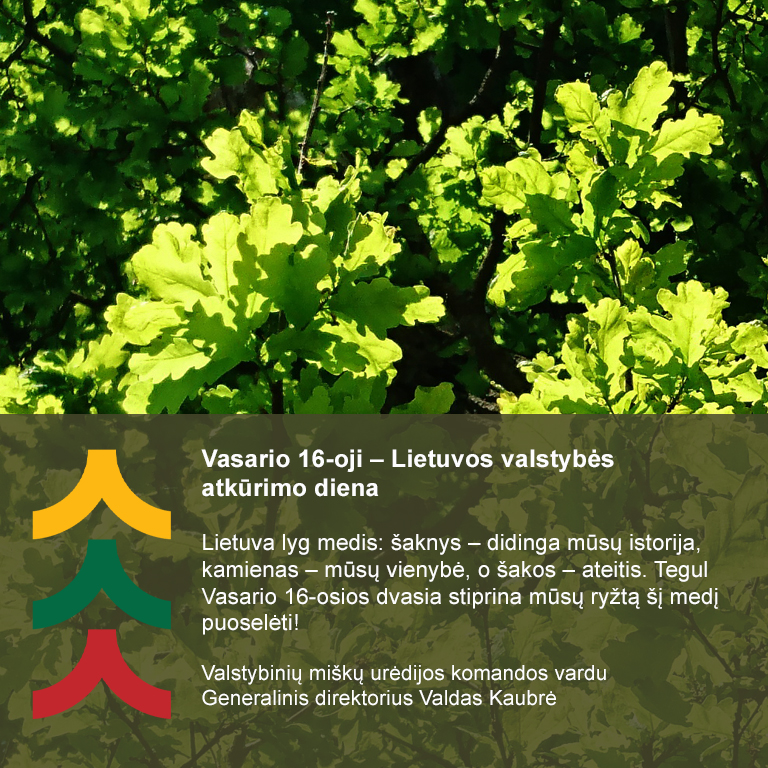 Vasario 16-oji – Lietuvos valstybės atkūrimo diena