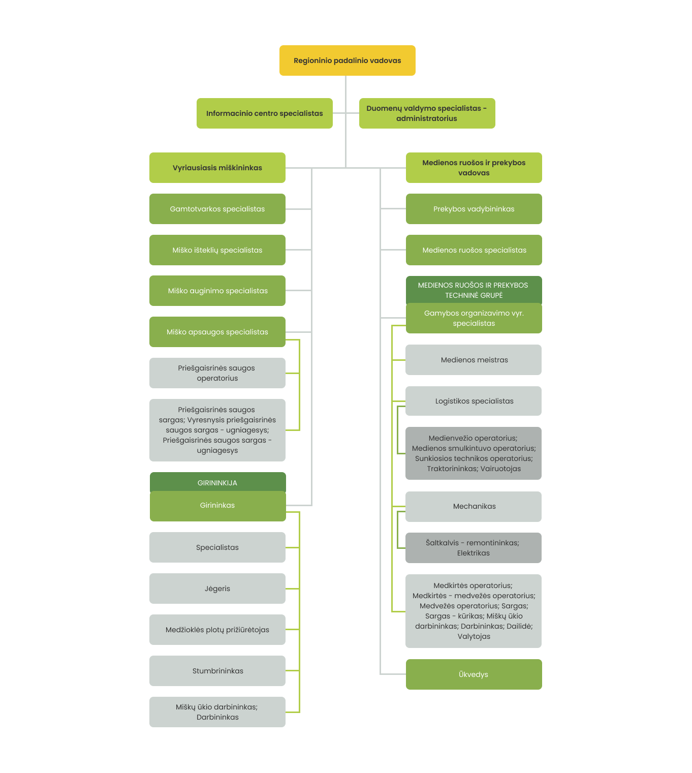 Regioninio padalinio struktūra (tipinė) struktūra