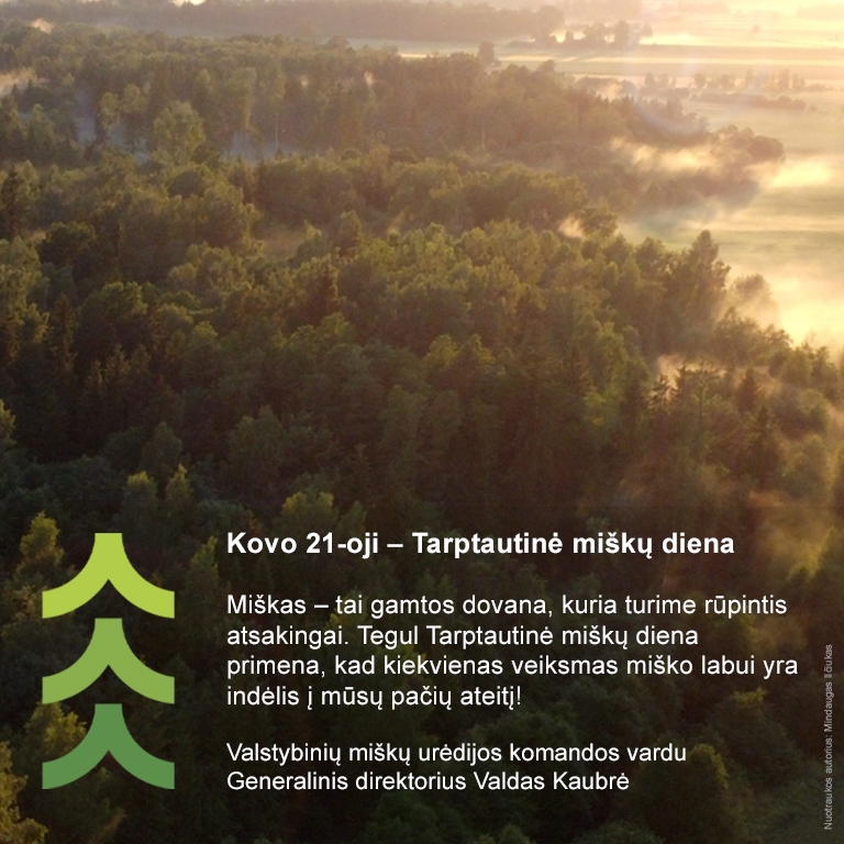 Kovo 21-oji – Tarptautinė miškų diena