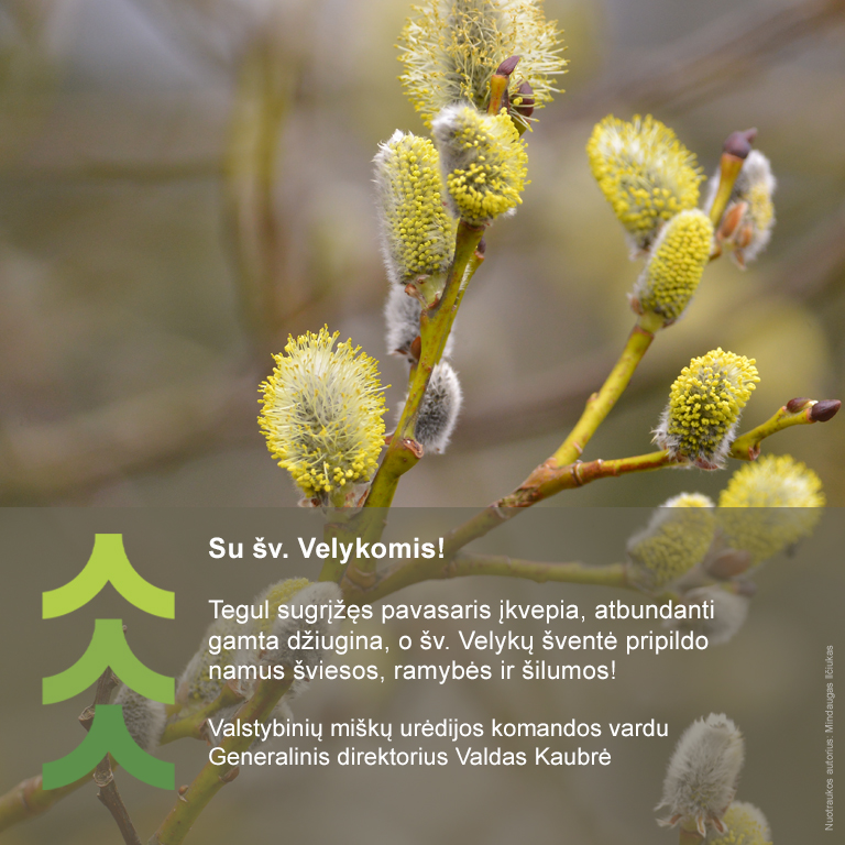 Džiaugsmingų šv. Velykų!