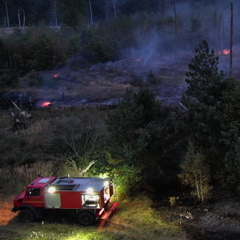 Valstybinių miškų urėdija: žolės deginimo atvejų mažėja, tačiau daugiau gaisrų kyla miškuose