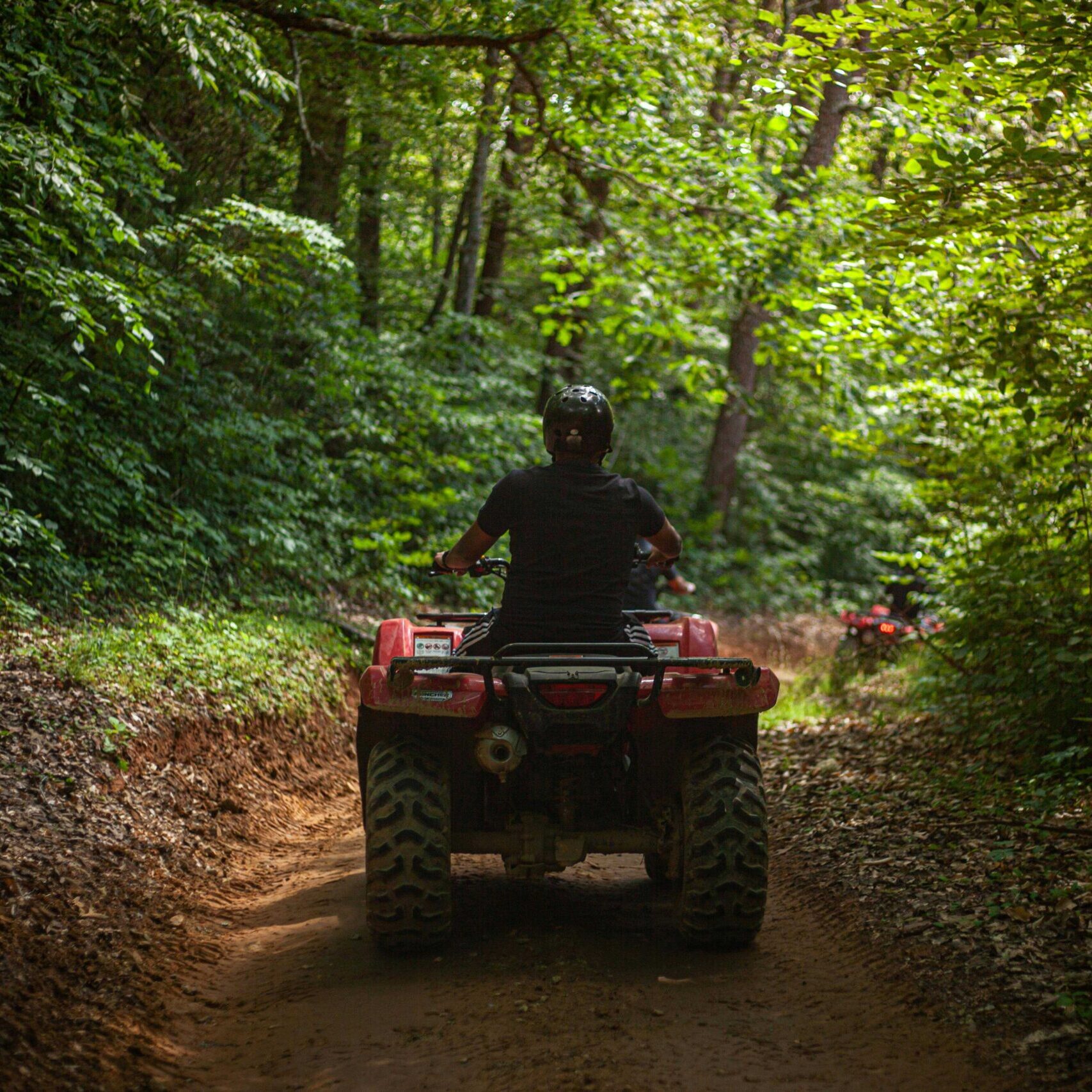 Miškas – ne trasa: Valstybinių miškų urėdija primena lankymosi miške taisykles