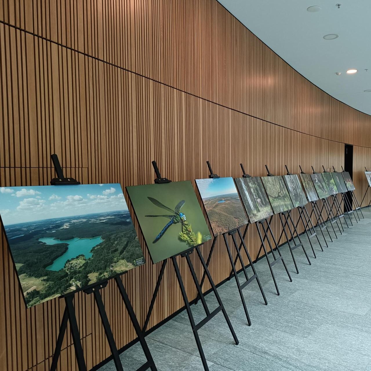 Unikalus žvilgsnis į mišką: miškininkų fotografijų paroda, kurią pamatyti gali kiekvienas