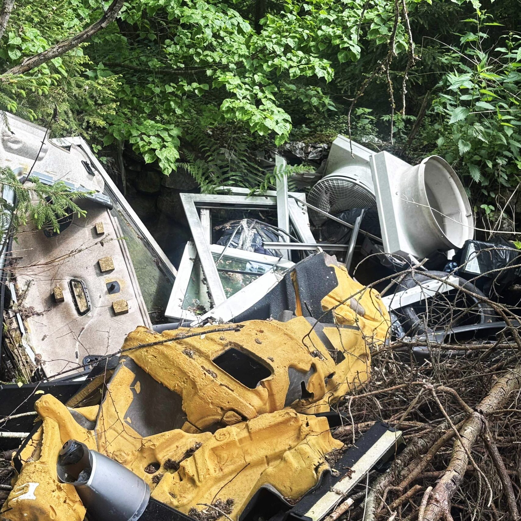 Miškai it sąvartynai: aplinkosaugos dienos proga miškininkai skelbia šokiruojančius skaičius