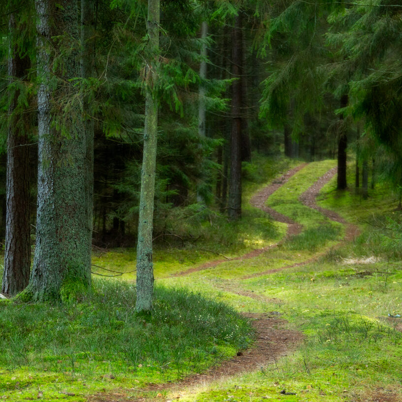VMU komentaras dėl medžioklės įrenginių suderinimo tvarkos