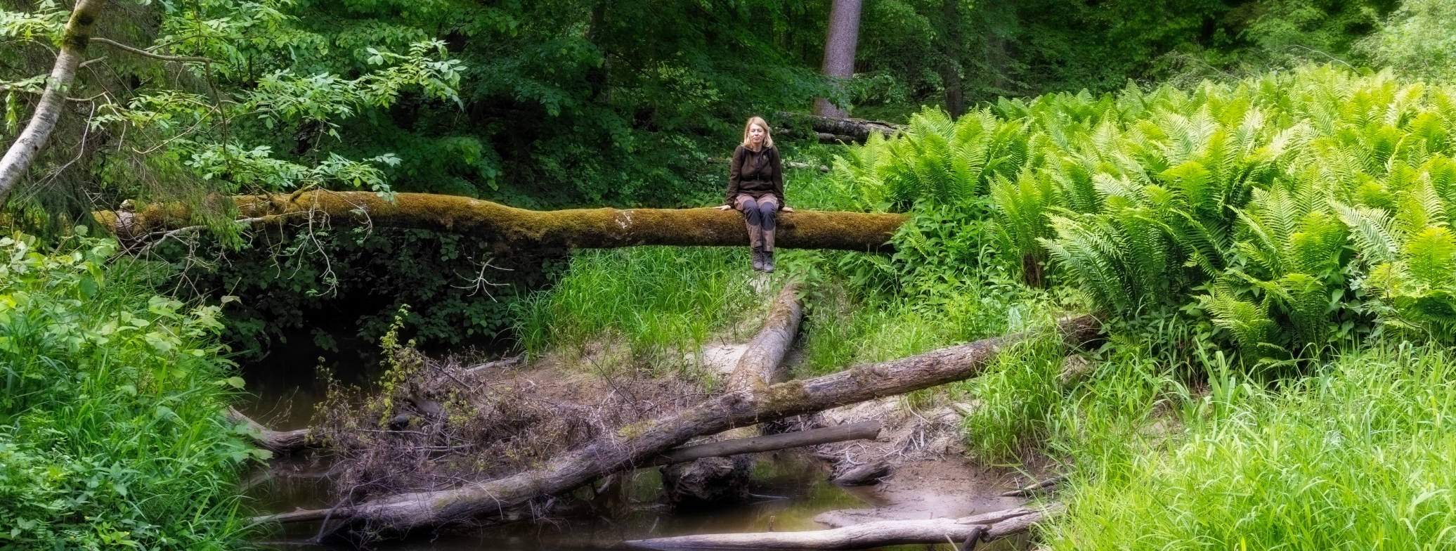 The State Forest Enterprise is starting to apply forest therapy – the path to wellness and a harmonious connection with nature