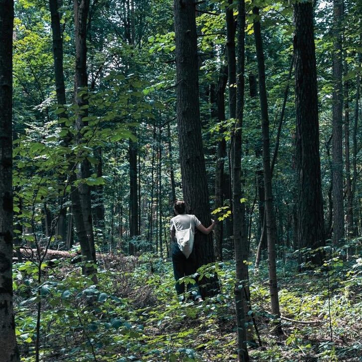 VMU dalyvavo festivalyje „Jaunas kaip Vilnius“ – dalyvius pakvietė į mišku kvepiančią kelionę 