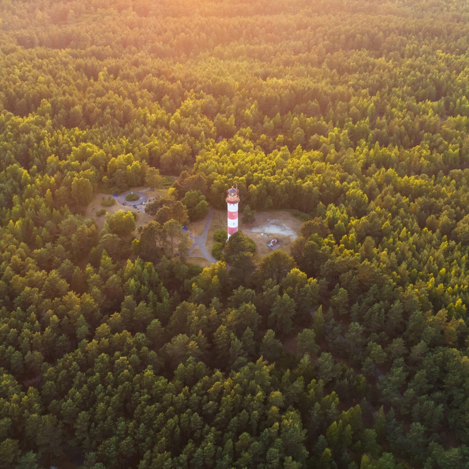 2026 metams patvirtinta mažesnė kirtimų norma