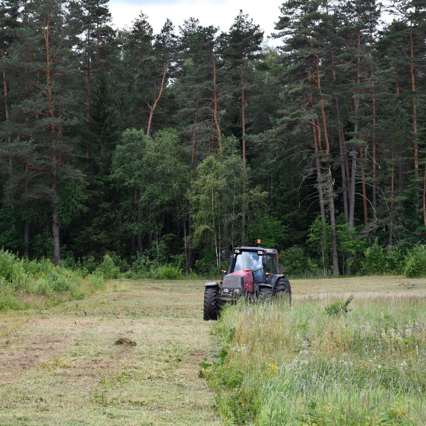 Tarp VMU misijų –  ir gamtotvarkos darbai biologinei įvairovei išsaugoti
