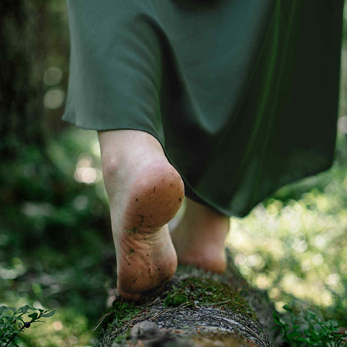 Trokštantiems kokybiško ir sveikatai naudingo laiko gamtoje: jau galima registruotis į miško terapijos užsiėmimus! 