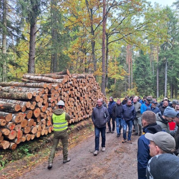 VMU suinteresuotoms šalims pristatė fotogrametrinį medienos matavimo būdą ir informacinius apskaitos įrankius