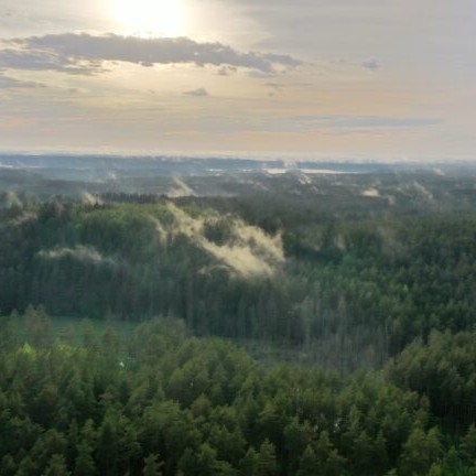 Atranka į dvi VMU valstybės tarnautojų valdybos narių pozicijas