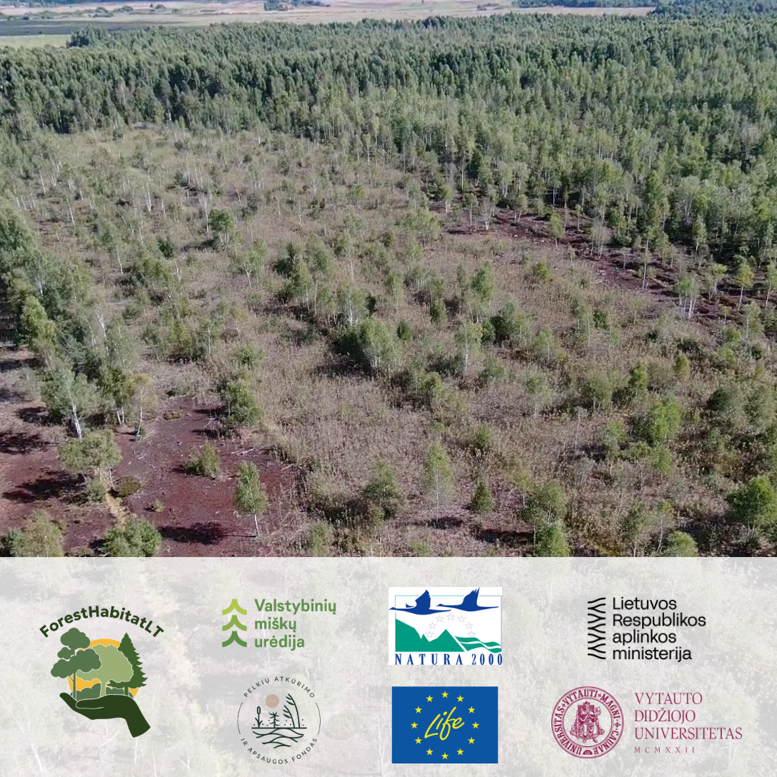 VMU atkuria Dabravolės durpyną – pelkė atgims iš naujo