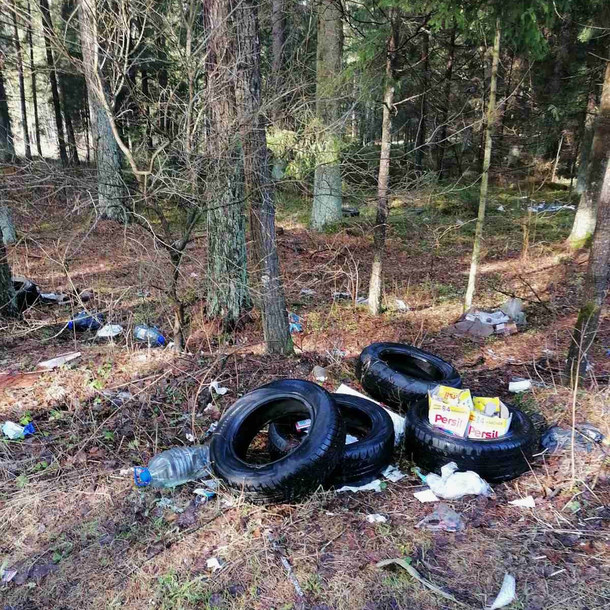 Šokiruojantis miškininkų radinys: prasidėjus padangų keitimo sezonui – 5 tonos išmestų padangų 