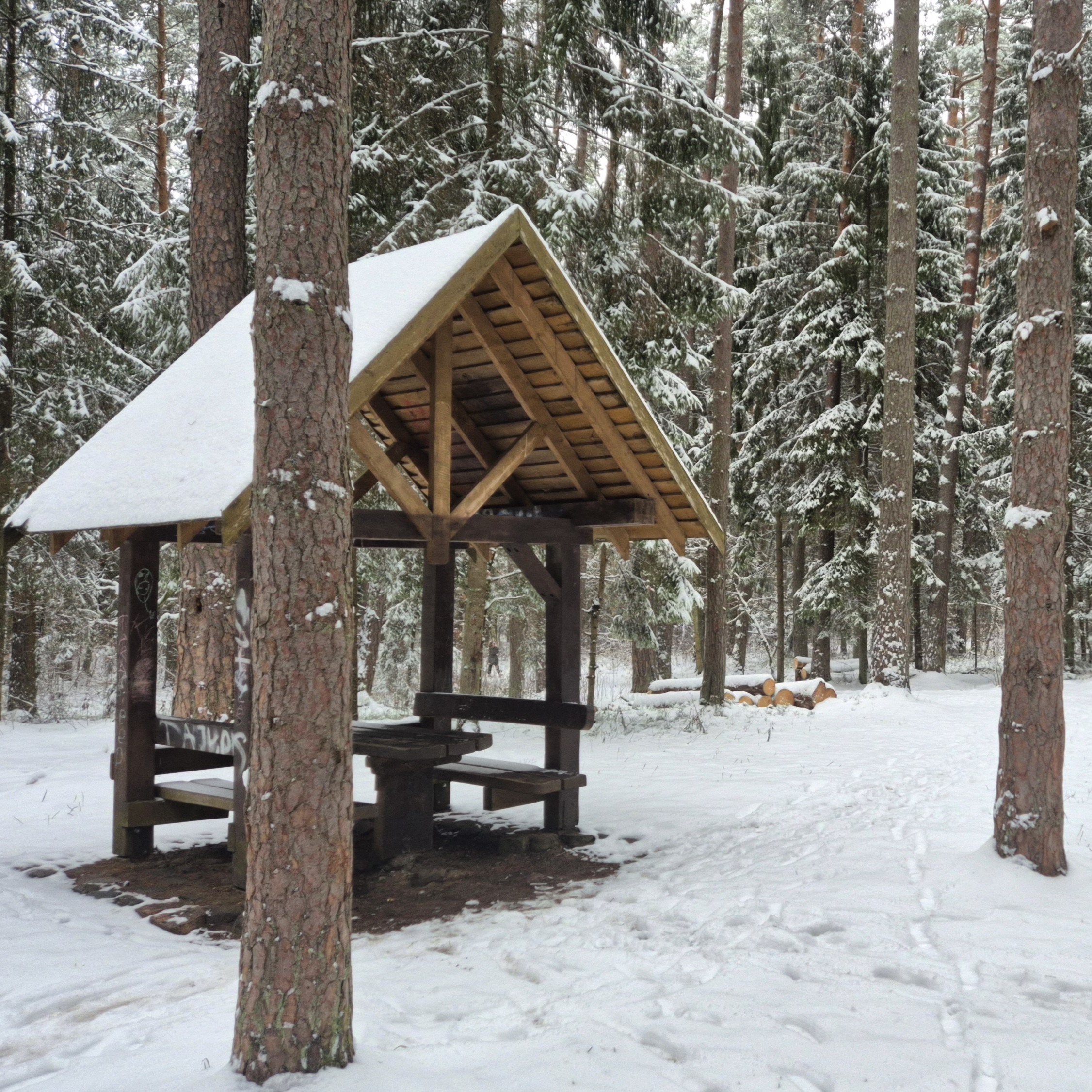 Kvietimas teikti pasiūlymus dėl treniruoklių įrengimo „Šilo“ sveikatingumo trasoje