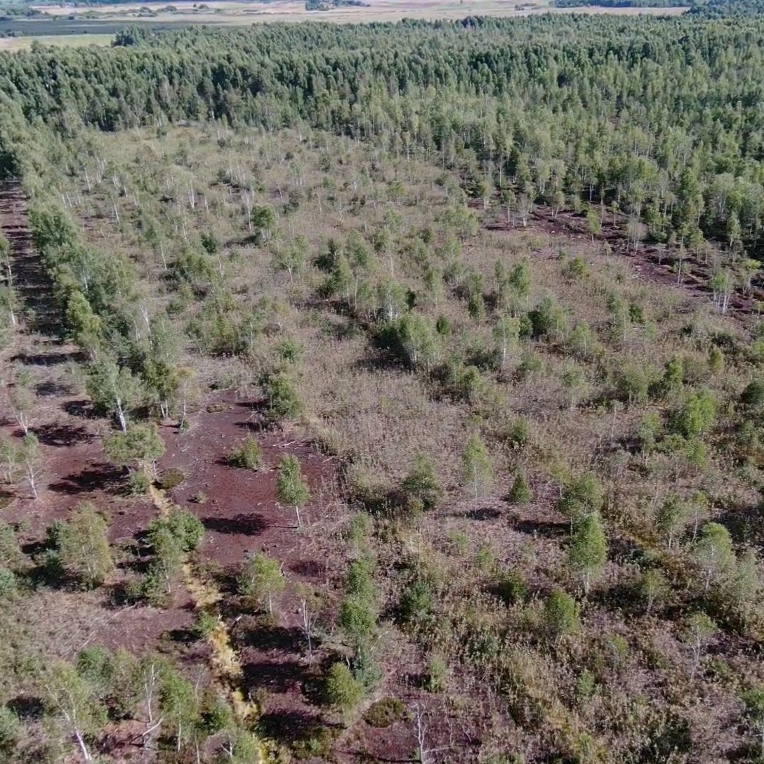 Dabravolės durpyno tvarkymo planas tapo sudedamąja Trakų regioninio padalinio vidinės miškotvarkos projekto dalimi