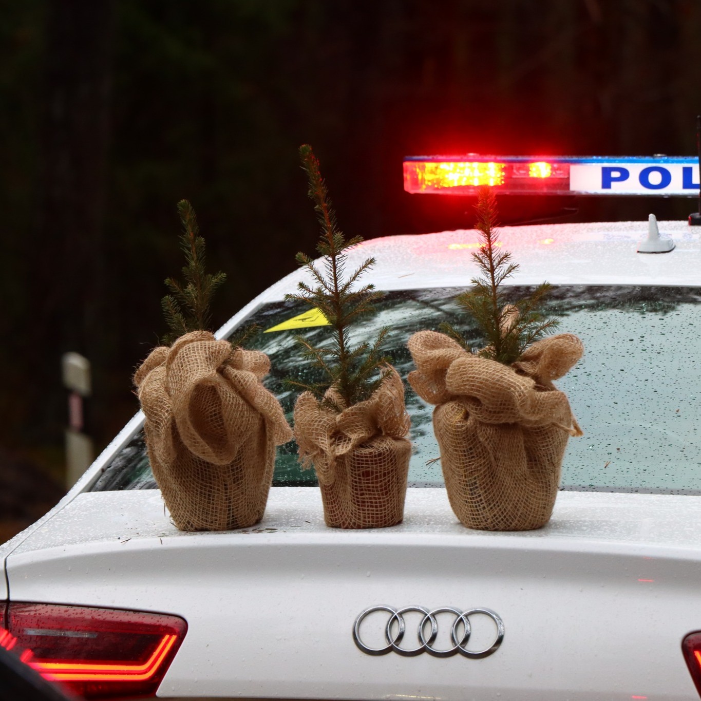 Akcija „Eglutė“ – miškininkai ir policijos pareigūnai vairuotojams dovanos kalėdinius medelius