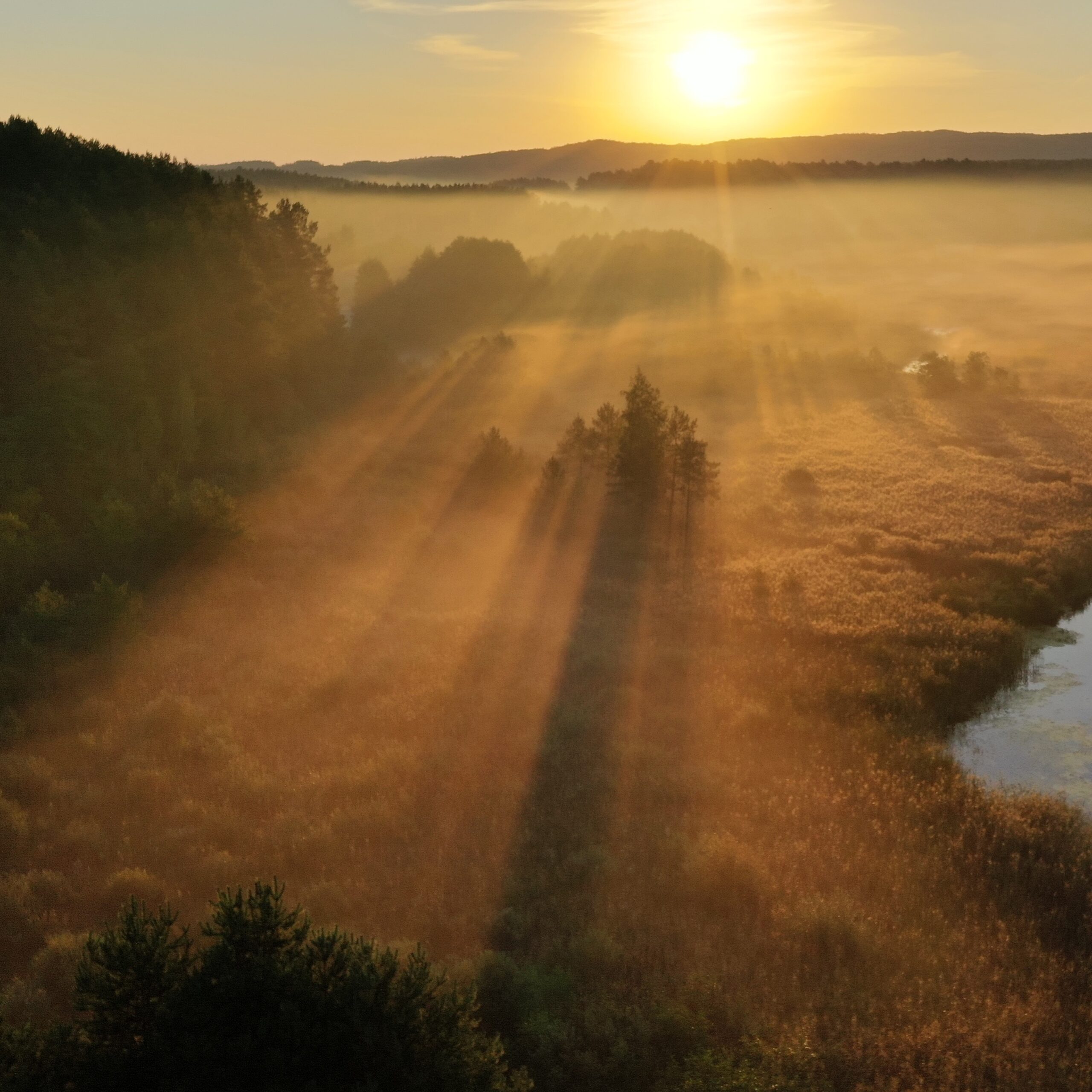 Skelbiama atranka į dvi VĮ VMU valdybos narių (valstybės tarnautojų) pozicijas