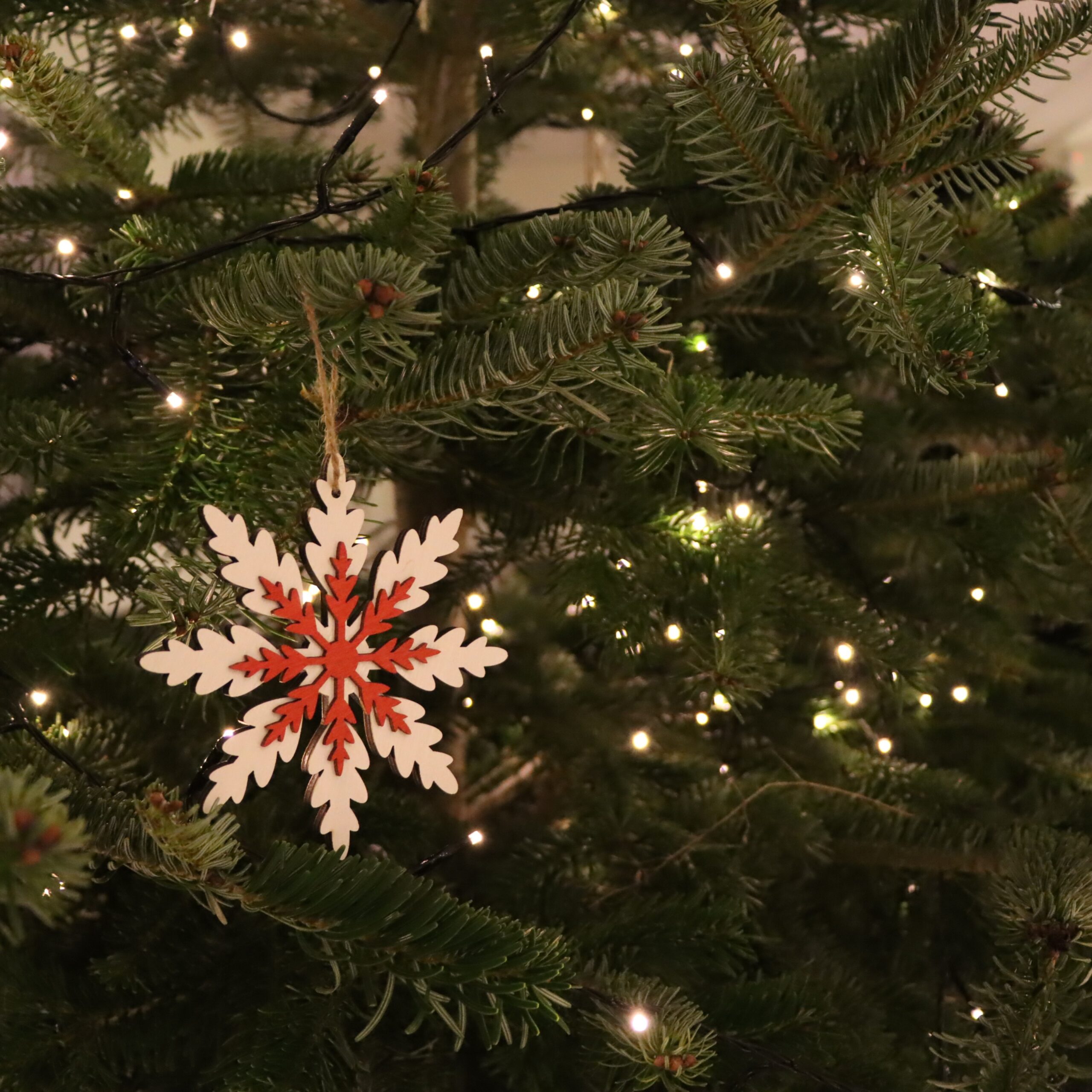 Miškininkai primena, kaip po švenčių elgtis su kalėdiniais medeliais 