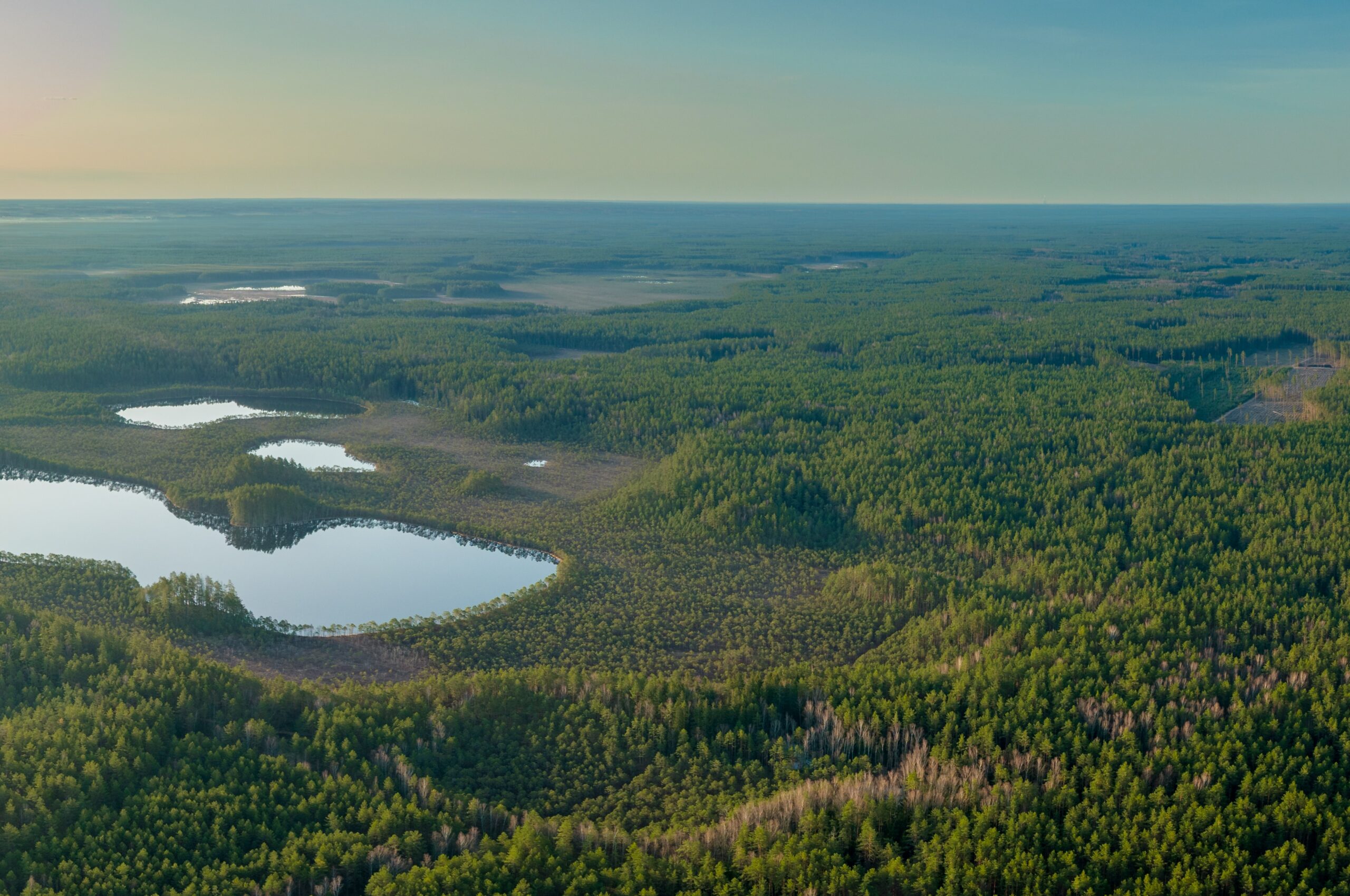 INFORMACINIS PRANEŠIMAS APIE RENGIAMĄ VALSTYBĖS ĮMONĖS VALSTYBINIŲ MIŠKŲ URĖDIJOS KRETINGOS REGIONINIO PADALINIO VIDINĖS MIŠKOTVARKOS PROJEKTO KEITIMĄ