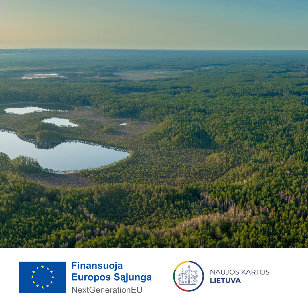 Projektas „Biologine įvairove turtingų miškų išpirkimas iš privačių miškų savininkų​“ Nr. 01-042-P-0001