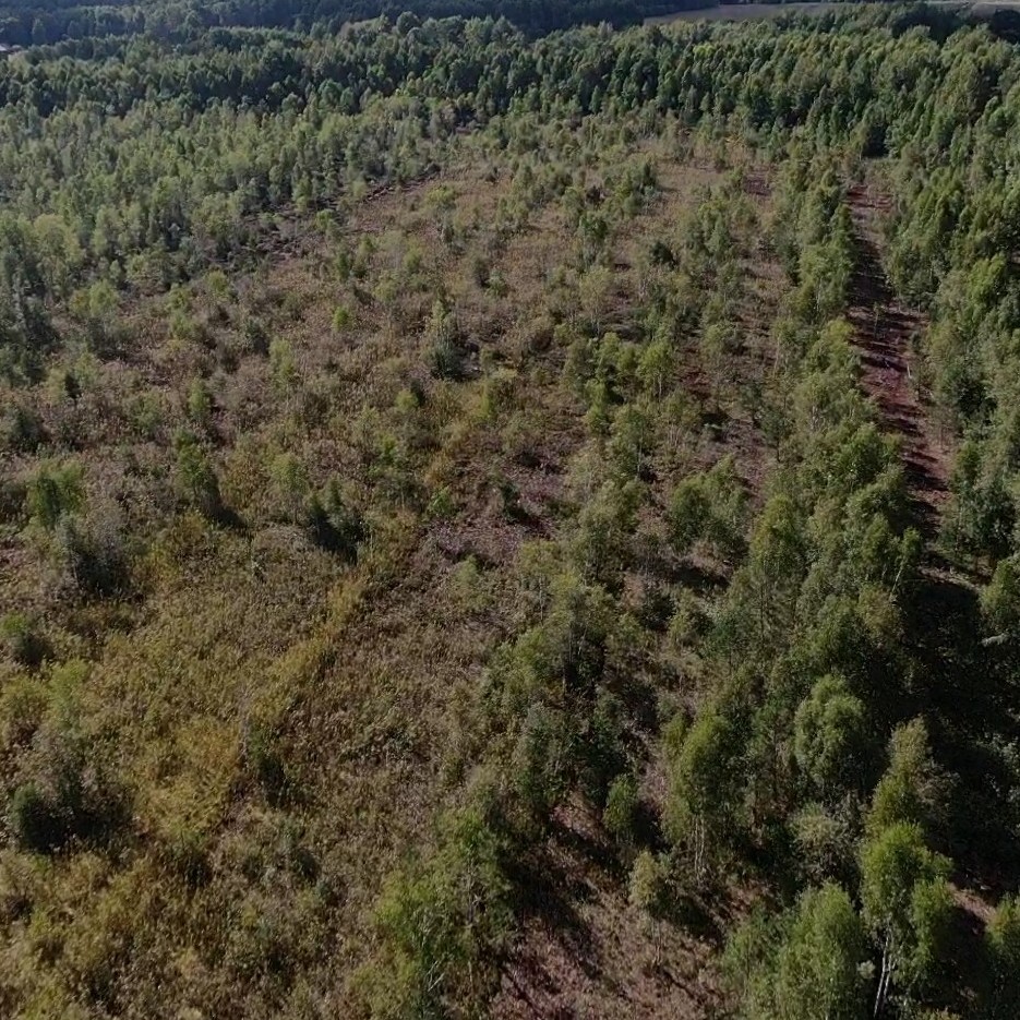 Atkuriamas Žaliasis raistas –  sovietmečiu sunaikinta pelkė Kaišiadorių rajone