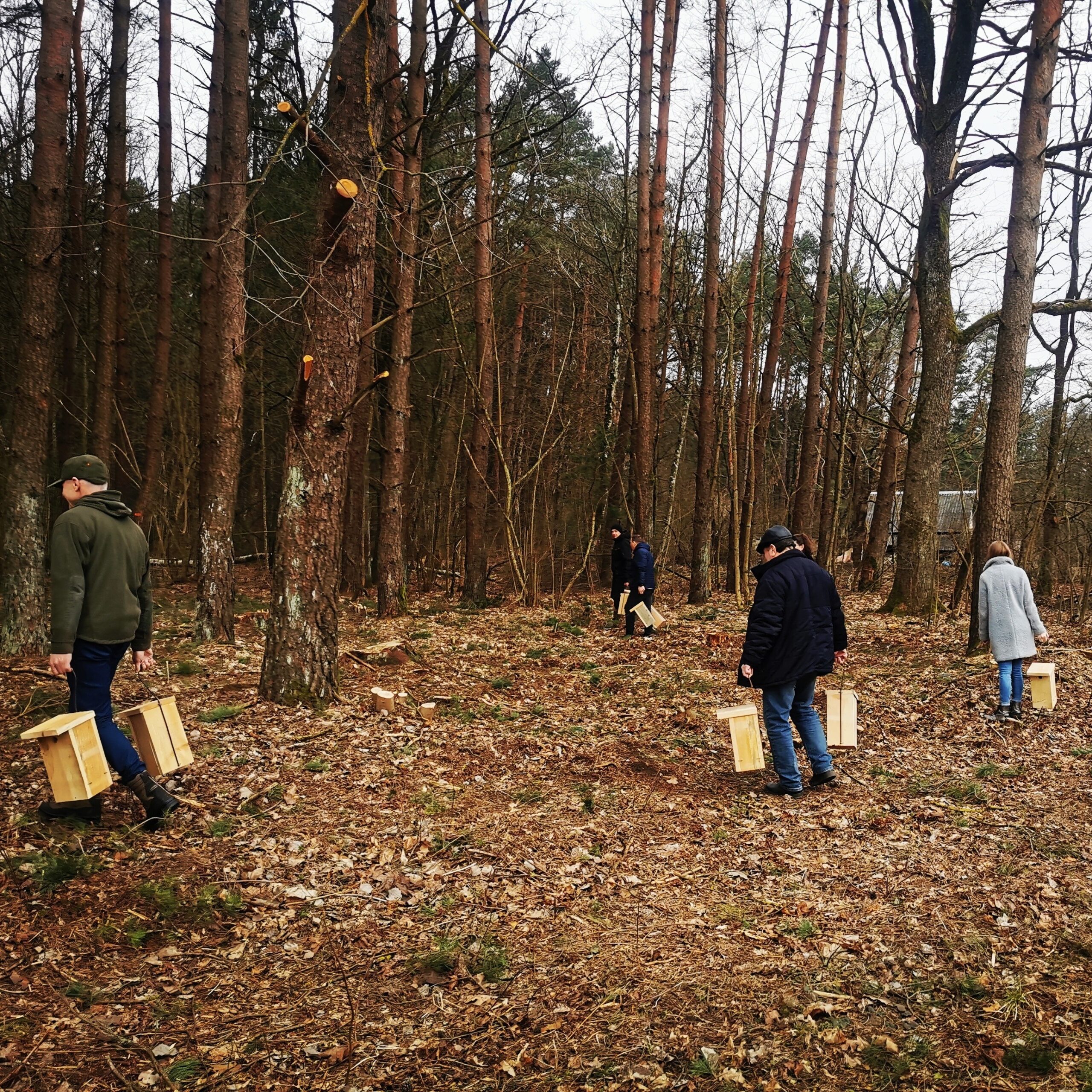 Namai sugrįžtantiems paukščiams: ką reikia žinoti prieš keliant inkilus