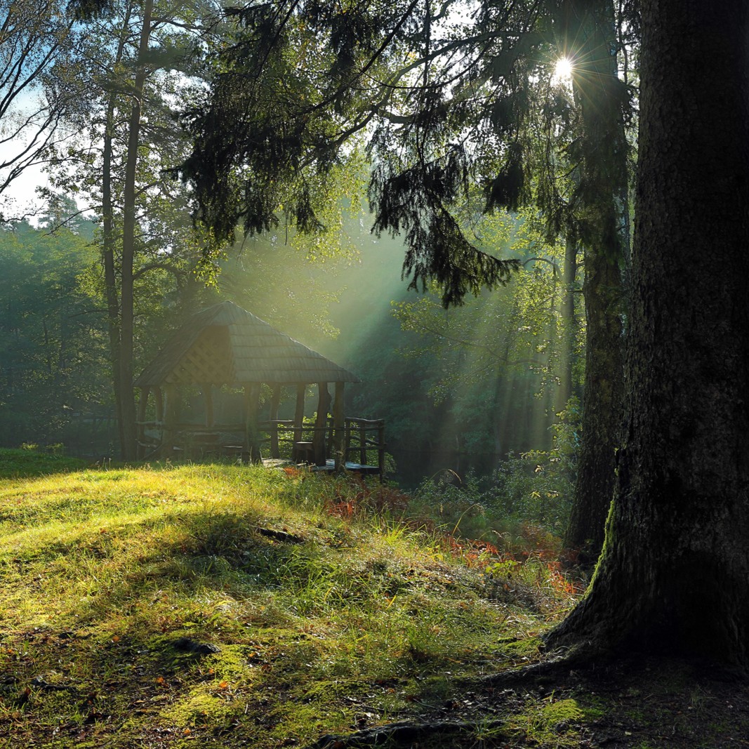 VMU 2025 m. finansiniai rezultatai – atsakingas balansas tarp ekonominės, ekologinės ir socialinės grąžos valstybei