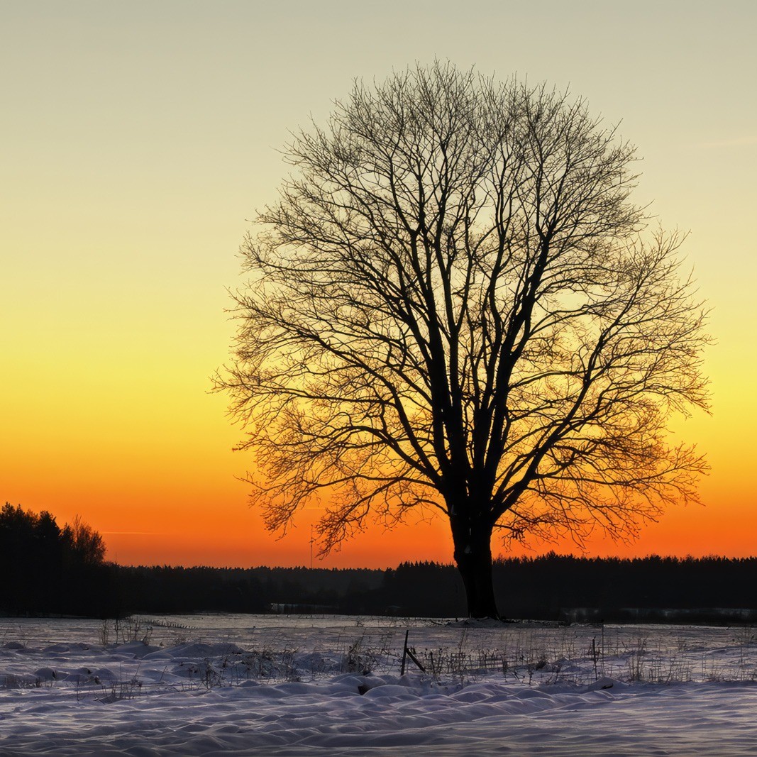 Besiruošiantiems tekinti sulą – miškininkai primena svarbiausias taisykles  