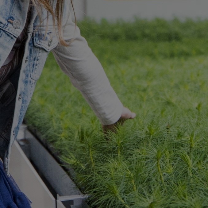 Mokyklų skambučius pakeis paukščių balsai: „Ulba čiulba mokykla“ tampa tarptautiniu projektu