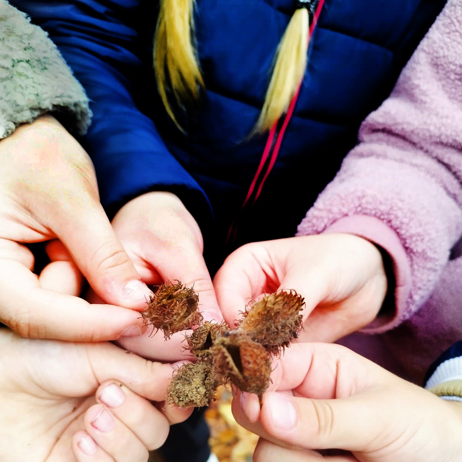 Kviečiamųjų sąrašai į miškininkystės olimpiados baigiamąjį etapą – jau paskelbti