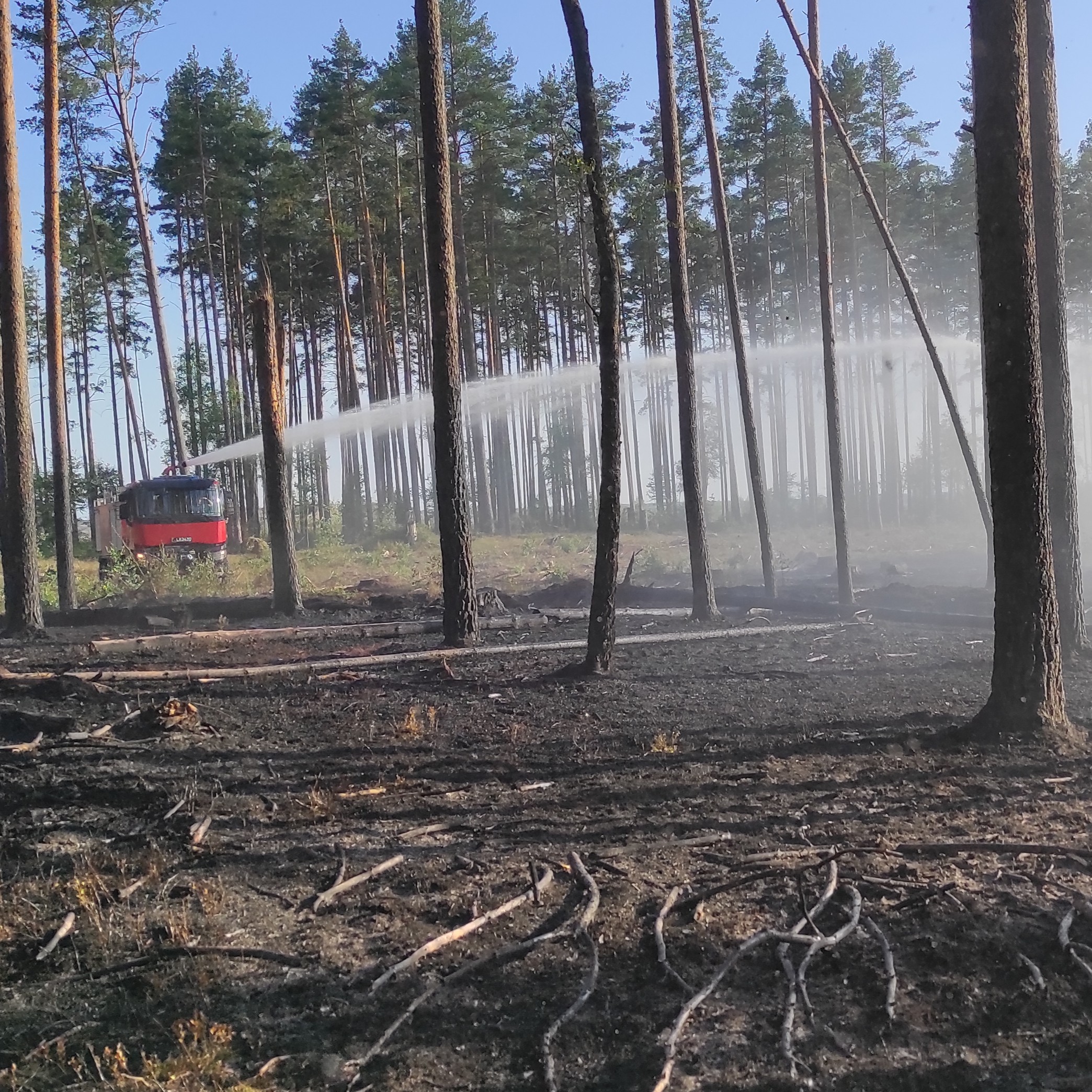 Ugnis pievose – pavojus miškams: kodėl svarbi kiekvieno atsakomybė?