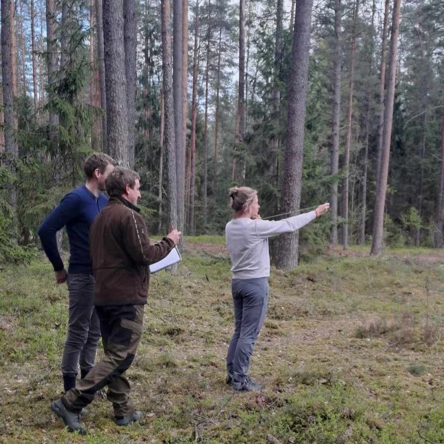 Iš Amerikos – į Taurijos girininkiją: Agnės pasirinkimas kliautis širdimi