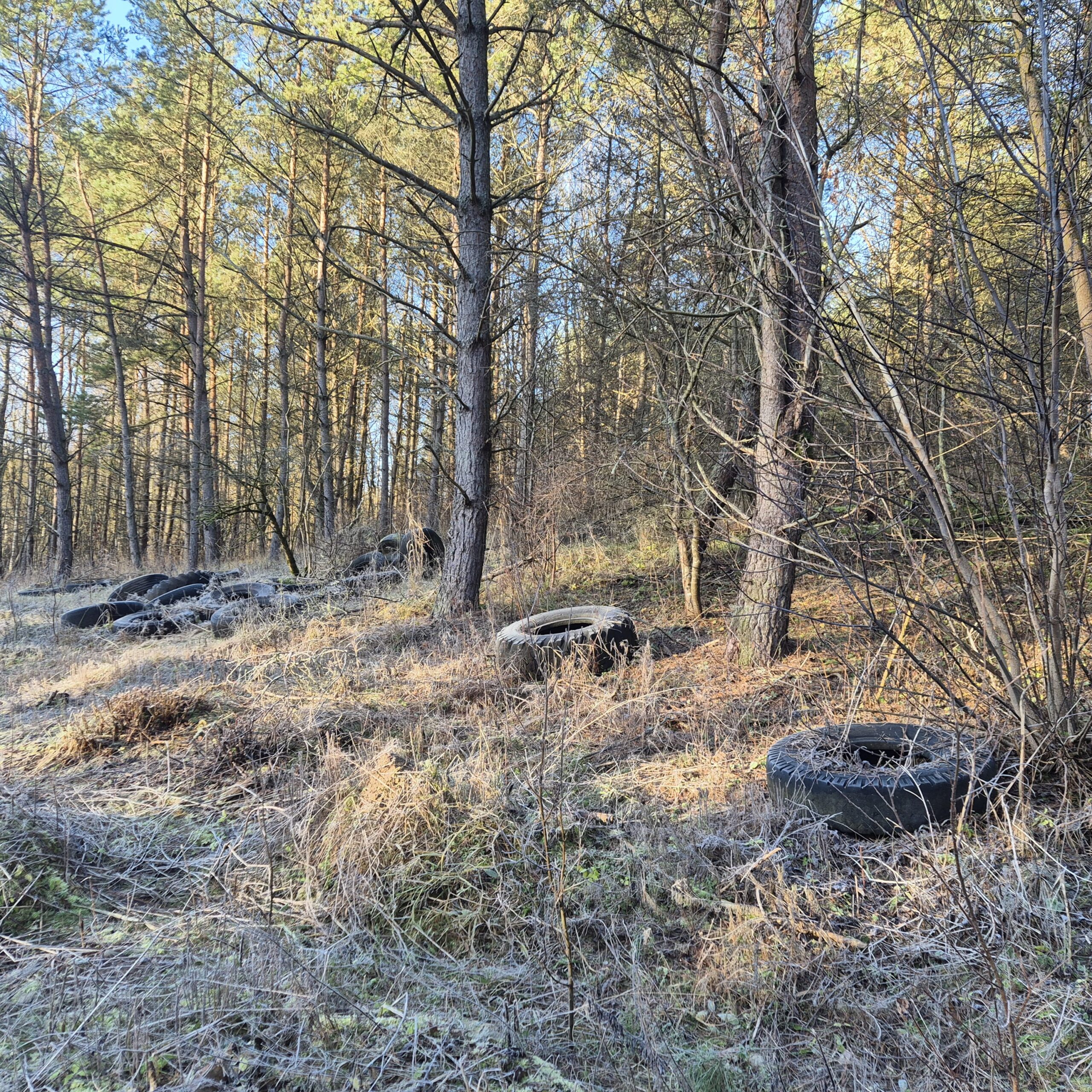 Raseinių ir Akmenės miškuose aptiktos pavojingos atliekos: padangos ir automobilių kuro bakai