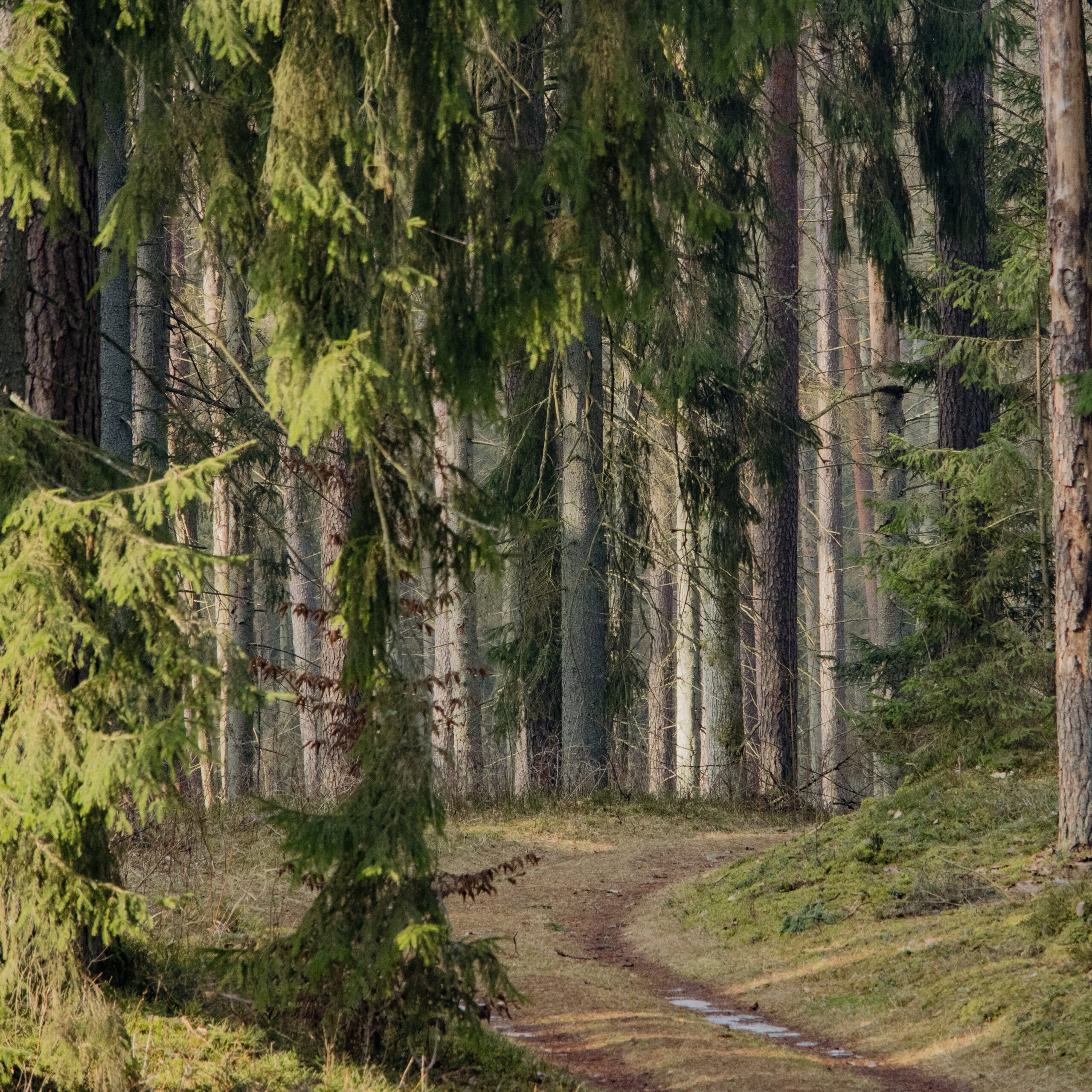 VMU pristato atnaujintą rekreacinių objektų žemėlapį: patogesnis planavimas ir daugiau galimybių lankytojams