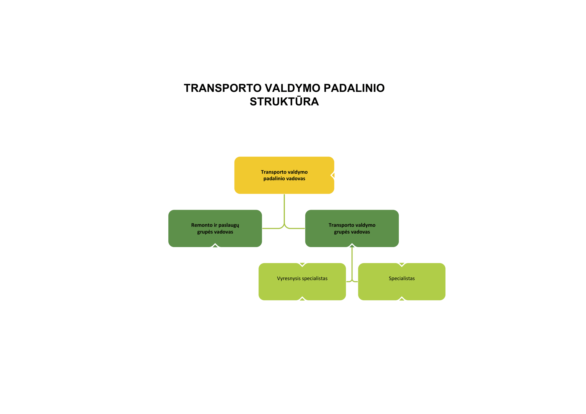 Transporto valdymo padalinio struktūra struktūra