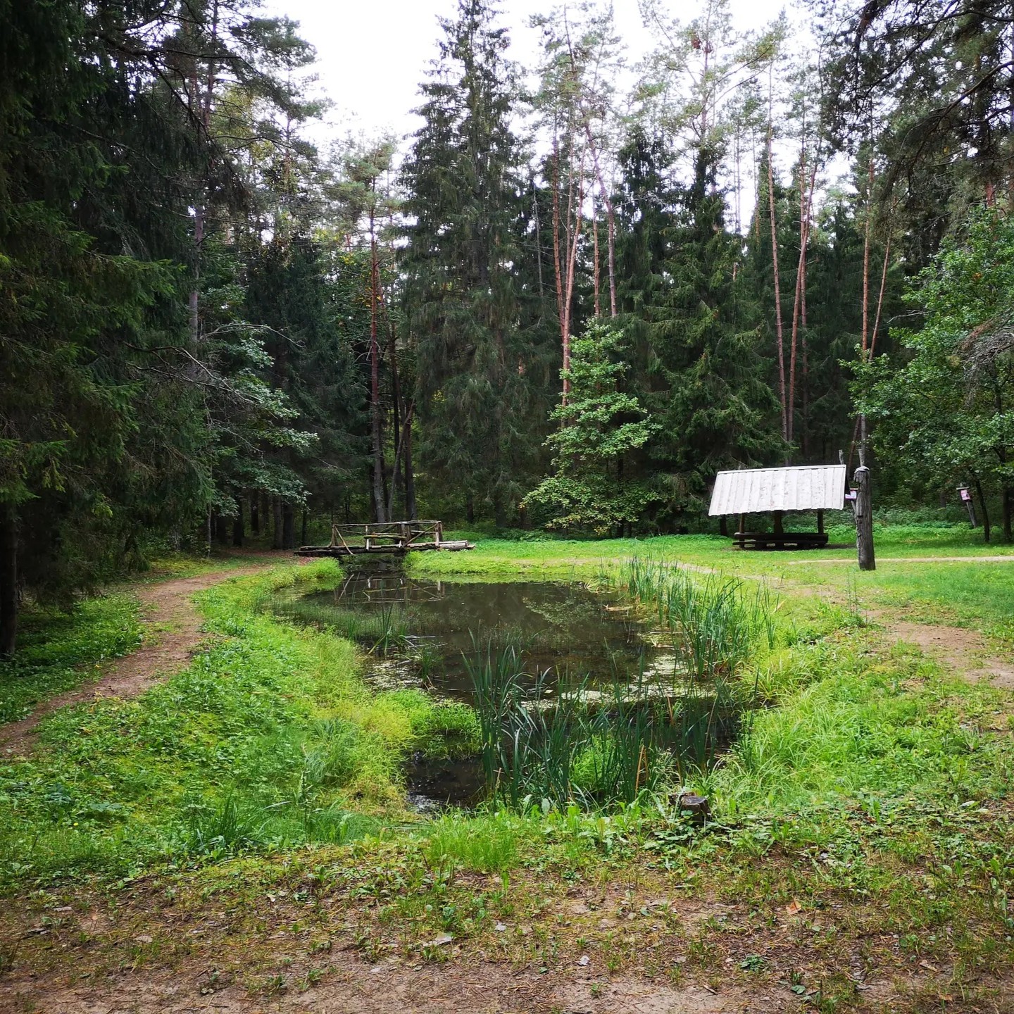 Aukštaitijos gamtos maršrutai: nuo susitikimo su stumbrais iki vaizdingų Neries panoramų