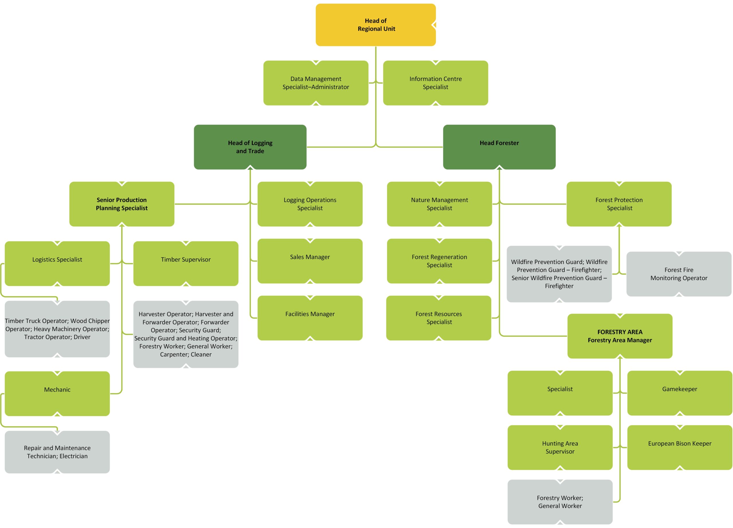 TYPICAL REGIONAL UNIT STRUCTURE structure