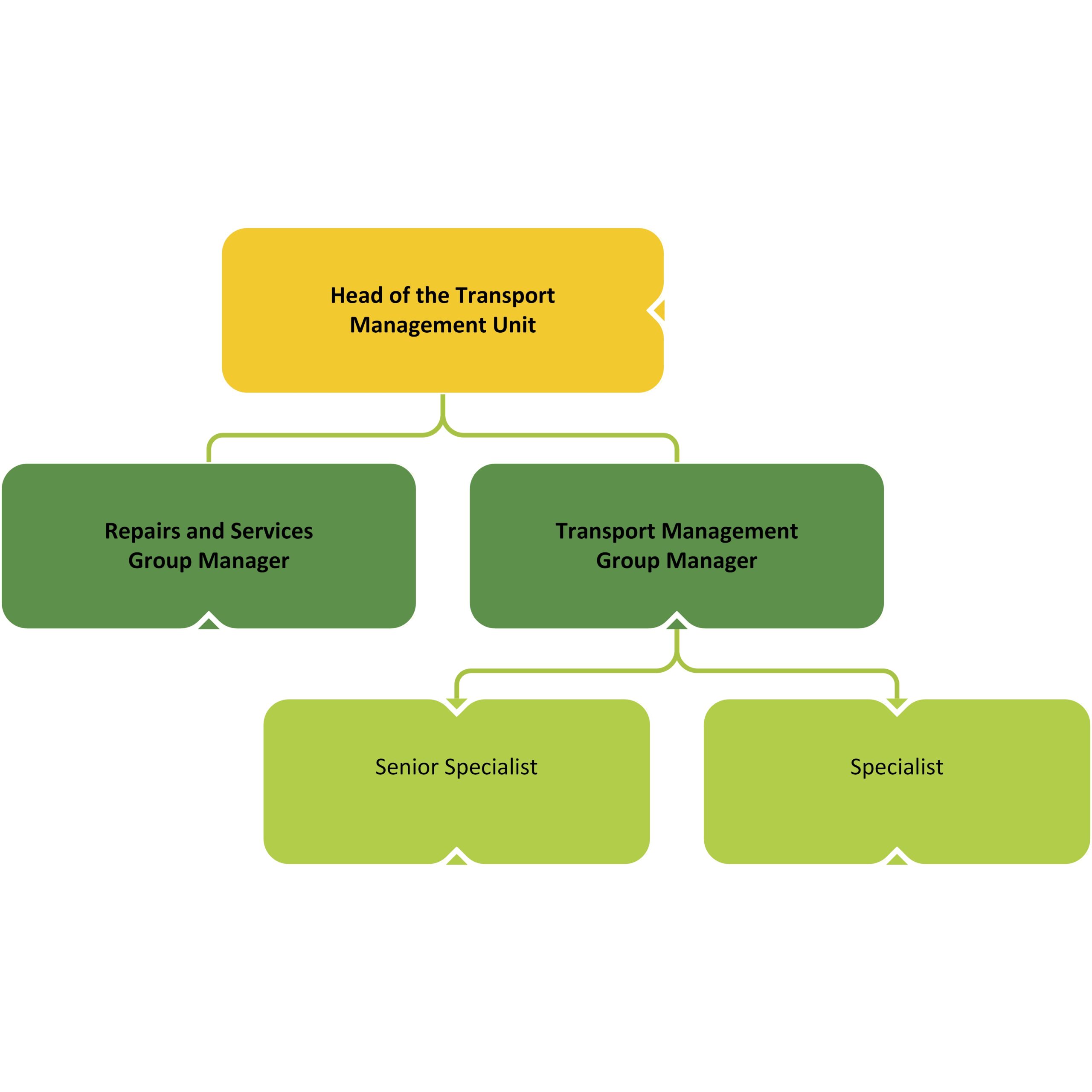 TRANSPORT MANAGEMENT UNIT STRUCTURE structure