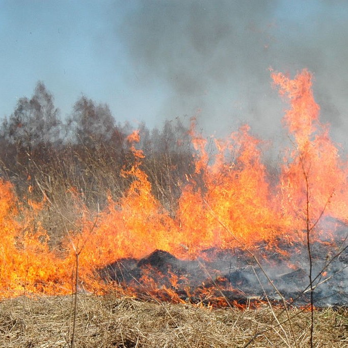 VMU įspėja: gaisrų riziką didina neatsargus elgesys ir po audrų likusios vėjavartos