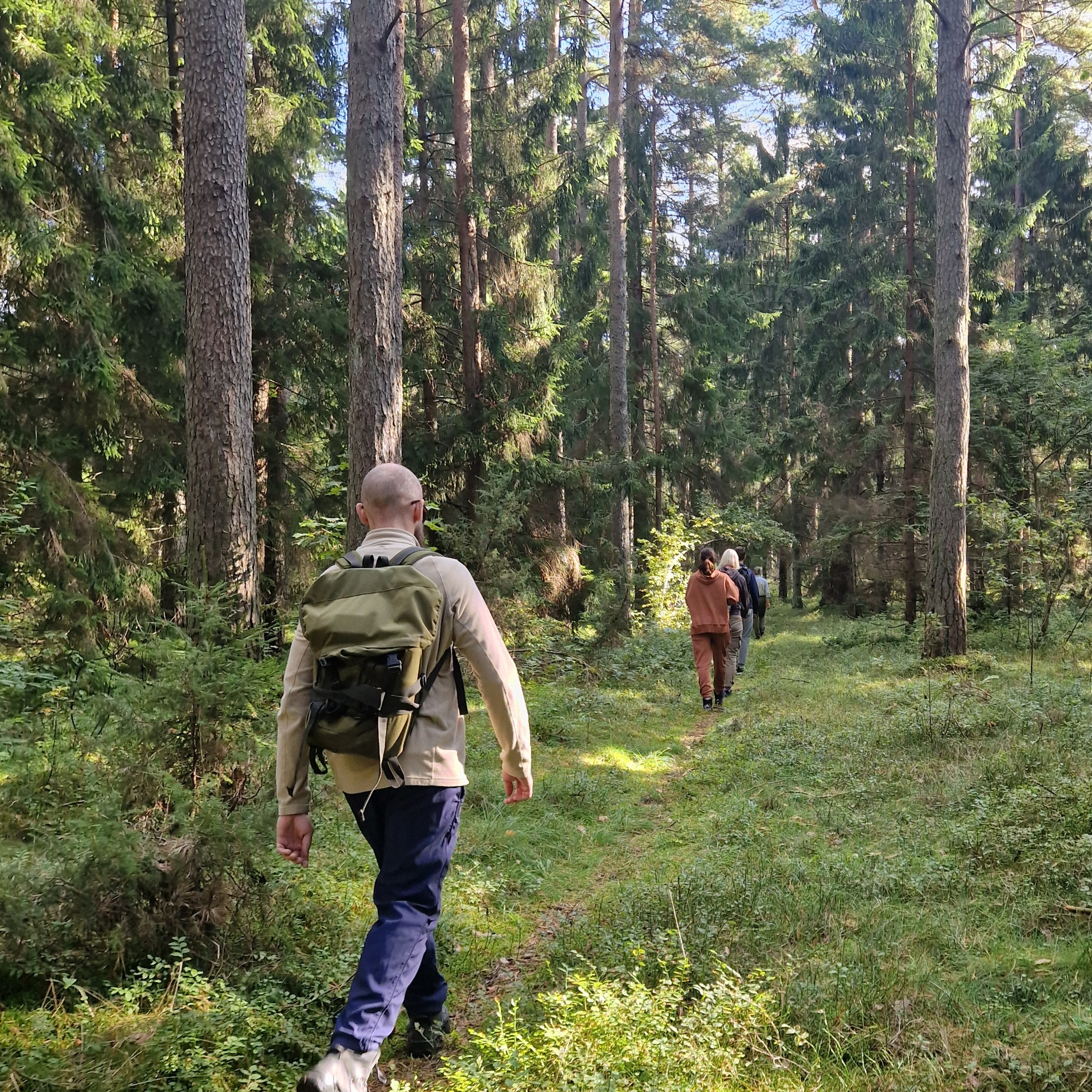 Miškininko dienos renginiai visoje Lietuvoje subūrė daugiau nei 4,5 tūkst. dalyvių