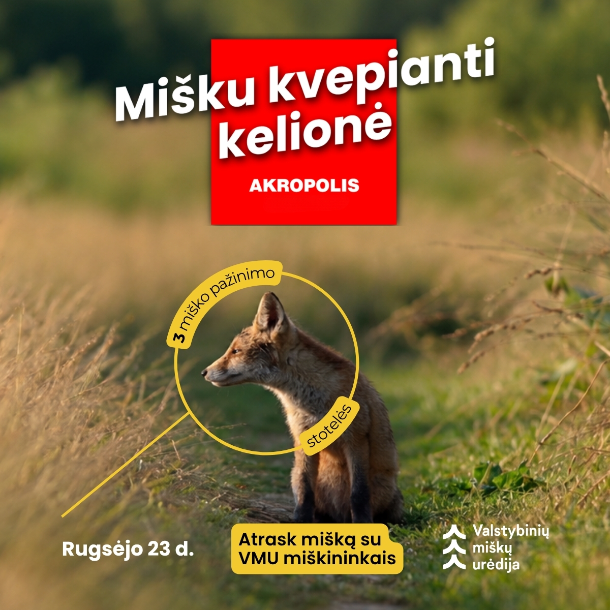 Miškininko dienos proga – „Mišku kvepianti kelionė“ Šiauliuose ir Klaipėdoje
