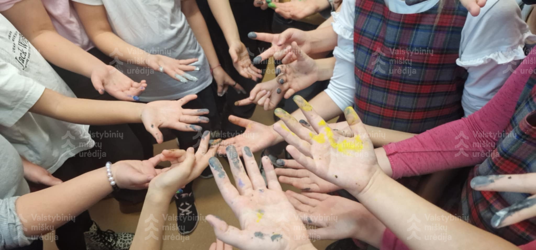 Klimato kaita ir miškai. Klimato savaitė 2024 m.